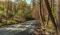 Eifel most beautiful hiking trails