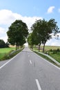 rural steep avenue in the Eifel during summer