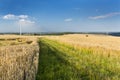 Eifel Summer Fields, Germany