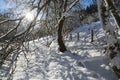 Eifel Winter Landscape Against The Light, Germany