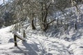 Eifel Winter Landscape, Germany