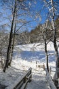 Eifel Winter Landscape, Germany