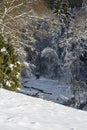 Eifel Winter Valley And River, Germany