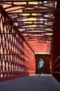 Eiffel Bridge in Girona, Spain Royalty Free Stock Photo