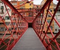 Eiffel bridge over the river