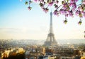 eiffel tour and Paris cityscape Royalty Free Stock Photo