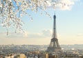 Eiffel tour and Paris cityscape Royalty Free Stock Photo