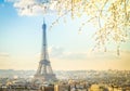 Eiffel tour and Paris cityscape Royalty Free Stock Photo