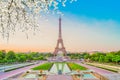 eiffel tour and from Trocadero, Paris Royalty Free Stock Photo