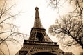 Eiffel tower Royalty Free Stock Photo