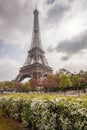 Eiffel Tower during beautiful spring time in Paris, France Royalty Free Stock Photo