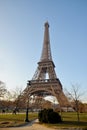 Eiffel Tower in a beautiful winter morning Royalty Free Stock Photo