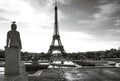 Eiffel tower with bird on statue. Trocadero place. Paris. France. Royalty Free Stock Photo