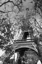 Eiffel Tower in Black and white