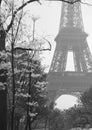 Eiffel tower in bloom, Paris, France Royalty Free Stock Photo