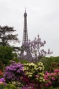 Eiffel tower with blossom branches