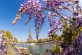 Eiffel Tower with boat during spring time in Paris, France Royalty Free Stock Photo