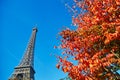 Eiffel tower with bright autumn leaves over the blue sky Royalty Free Stock Photo