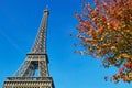 Eiffel tower with bright autumn leaves over the blue sky Royalty Free Stock Photo