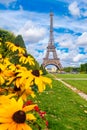 The Eiffel Tower and colorful yellow flowers on a summer day in Paris Royalty Free Stock Photo