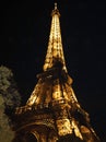 Eiffel Tower at Dawn, Paris, France. Royalty Free Stock Photo