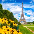 The Eiffel Tower and flowers on a beautiful summer day in Paris