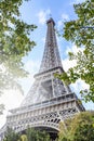 Eiffel Tower in the green of trees with morning sunlight. Beautiful landscape. Postcard. Vertical