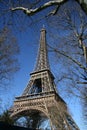 Eiffel tower, hide by tree, in paris