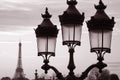 Eiffel Tower and Lamppost Royalty Free Stock Photo