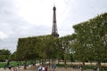 Eiffel Tower, landmark, tower, monument, tree