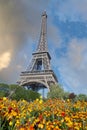 Eiffel tower in the landscape in Paris from the Champ de Mars with a colorful garden and flowers in the foreground Royalty Free Stock Photo