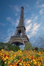 Eiffel tower in the landscape in Paris from the Champ de Mars with a colorful garden and flowers in the foreground Royalty Free Stock Photo