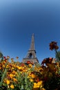 Eiffel tower in the landscape in Paris from the Champ de Mars with a colorful garden and flowers in the foreground Royalty Free Stock Photo