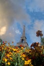 Eiffel tower in the landscape in Paris from the Champ de Mars with a colorful garden and flowers in the foreground Royalty Free Stock Photo