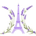 Eiffel tower with lavender flowers. Royalty Free Stock Photo