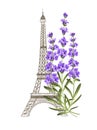 Eiffel tower with lavender. Royalty Free Stock Photo