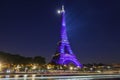 Eiffel Tower Light Performance Show for its 130th birthday .The Eiffel tower is the most visited monument of France Royalty Free Stock Photo