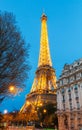 Eiffel Tower at night ,Paris. Royalty Free Stock Photo