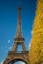 Eiffel Tower over blue sky and fall leaves Royalty Free Stock Photo