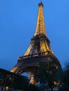 The Eiffel Tower in lights at night