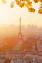 Eiffel Tower and Paris cityscape Royalty Free Stock Photo