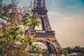 The Eiffel Tower in Paris, France. Royalty Free Stock Photo