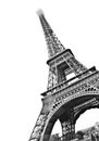 Eiffel Tower of Paris isolated on white