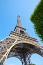 Eiffel Tower in Paris in a summer day, clear blue sky and green tree Royalty Free Stock Photo