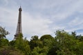 Eiffel Tower and Paris trees Royalty Free Stock Photo