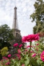 Eiffel tower in Paris Royalty Free Stock Photo