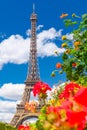 The Eiffel Tower and flowers on a beautiful sumer day in Paris Royalty Free Stock Photo