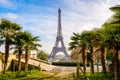 The Eiffel Tower seen from the Trocadero gardens with palm trees in the foreground Royalty Free Stock Photo