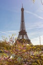 Eiffel tower and Seine river in spring, Paris, France Royalty Free Stock Photo