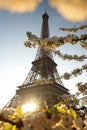 Eiffel Tower in spring, Paris, France Royalty Free Stock Photo